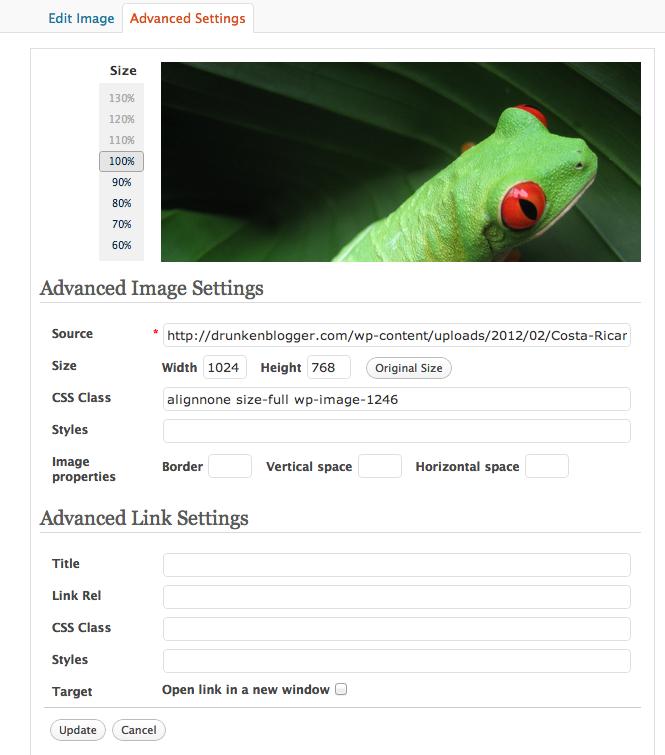 Another image editor will display and give the option to edit the graphic based on percentage; or under Advanced Settings, allow you to choose a custom image size along with additional options.