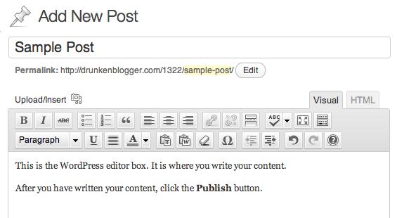 of the post and become linked text throughout your site, it should be descriptive of the topic you are writing about. You can use the permalink editor to create a shorter URL file path.