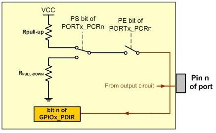 The PE (pull enable) bit of the PORTx_PCRn is used to enable the internal Pull resistor option.