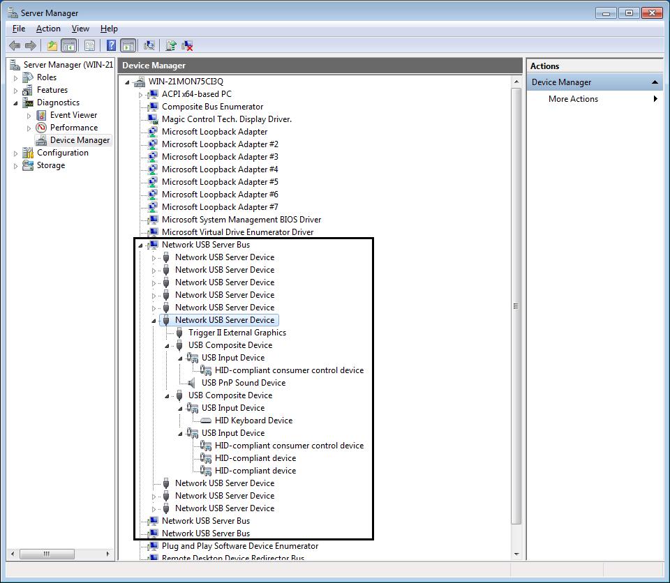 Step 3 Extend Network USB Server Bus trees for all the input and output devices as the picture for