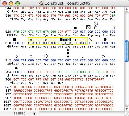 Construct Window Formatting A Sequence Listing Formatting A Sequence Listing As described in Tutorial 4: Viewing the Construct as a Sequence, page 2-15, any GCK construct can be viewed and edited as