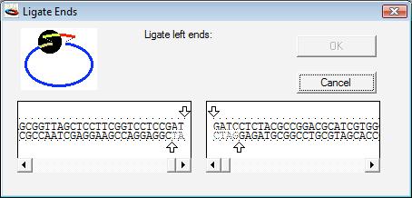 Construct Window Cutting, Copying, and Pasting Segments If you are pasting in a fragment with ends that are not compatible with the insertion site, you will be presented with the ligation dialog box