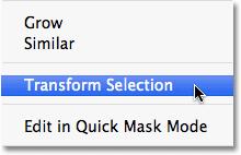Go to Select > Transform Selection.