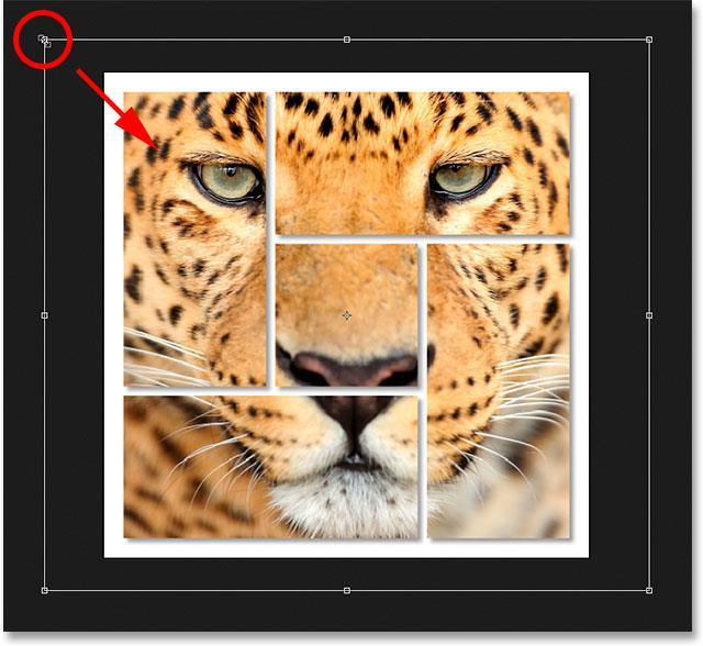 Going to View > Fit on Screen. To resize the image, press and hold your Shift key as you click and drag any of the four corner handles.