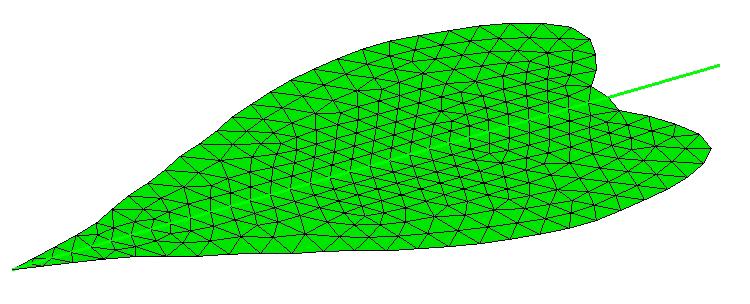 164 Design and Nature VI where q and j are the polar and the azimuth angle, respectively, r is the radius, n is a unit normal vector to the top surface of the leaf, and a is the angle between n and L.