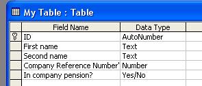 PAGE 24 - ECDL MODULE 5 (USING MICROSOFT ACCESS XP) - MANUAL The finished table will look like this.