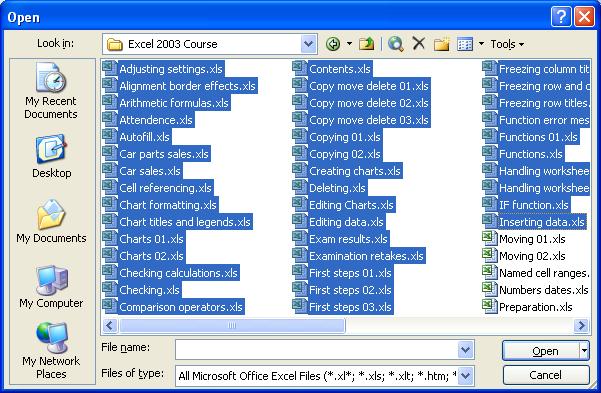 ECDL Module Four - Page 13 Click on the Open button and all the selected files will open. We have opened lots of different files.