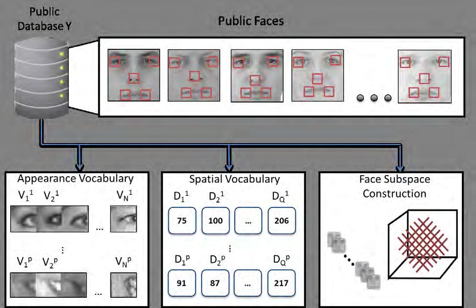 Figure 4.1: The figure shows the three major parts of the Offline Processing stage. At the top of the figure, we build a public face database.