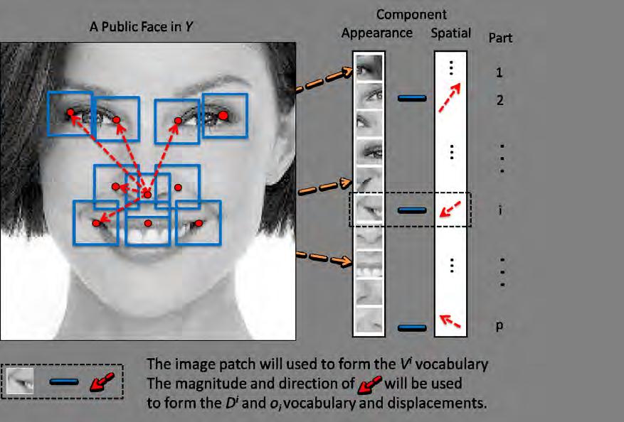 Figure 4.2: This figure shows the extraction of the appearance patches and spatial distances from a single face in the public database Y.