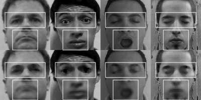 we were able to rely on the consistency of the face detection unit, resulting in the eyes being at the same level in all images, we used the pixels from only two fixed subregions of the images.