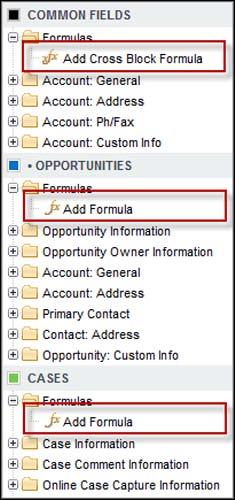 To create a standard custom summary formula, go to the area for the report type, and double-click Add Formula.