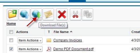 Figure 39 Select some files and click Download Manager to start the downloads.