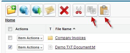 J. Copying Files You can copy files between directories in S-Drive. To do this, first you need to select files to copy. Then select "Copy" ( ) button at the top menu.