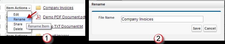 K. Renaming Files & Folders To rename files and folders in S-Drive you just need to select "Rename" item menu action