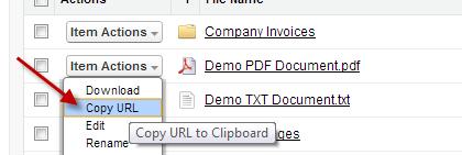 M. Copying URL to Clipboard To copy URL of a file to clipboard, click "Item Actions" button next to the file and click "Copy URL" action menu item to copy the URL of the selected file to the