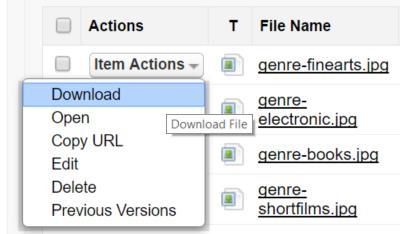 Item Actions 1- Downloading Files You can download a file by clicking