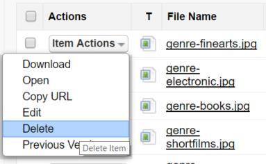 5- Deleting Files You can delete a file by clicking "Delete" item menu action under the "Item Actions" button (Figure 149).