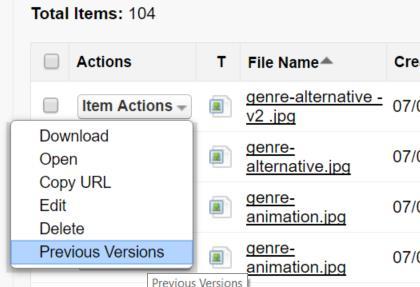 6- Previous Versions You can display previous versions of files by clicking "Previous Versions" item menu action under the