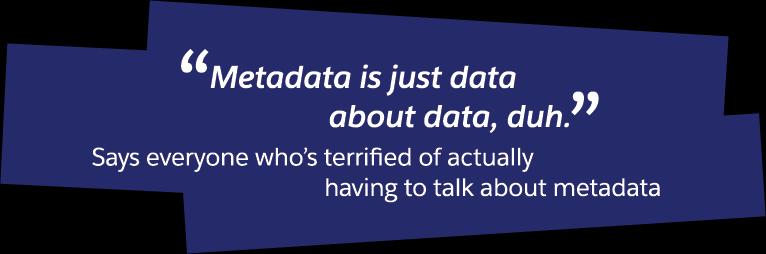 The Advent of Metadata as a Separate Idea -Trailhead Cataloging has been using metadata for years Digital objects make metadata (which we have been using all along) a conscious idea, rather than