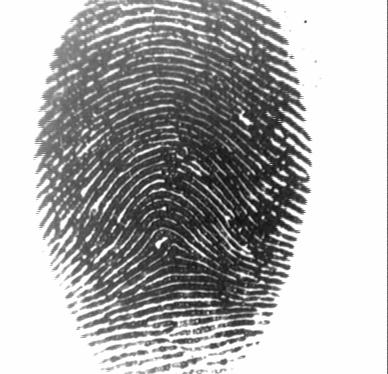 However, it still can not classify fingerprint images, which are of generally good quality but contains low quality blocks or which are of generally low quality but contain good