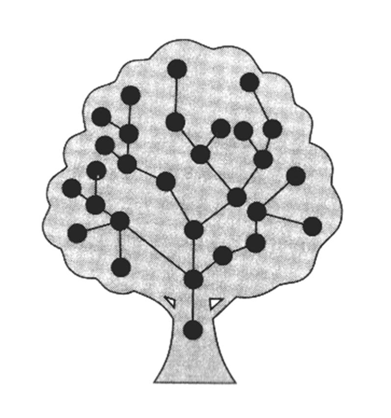 Connectivity A disconnecting set in a connected graph G is a set of edges whose removal disconnects G Connectivity Cutset: A set of branch of a connected graph G whose removal of the set of branches