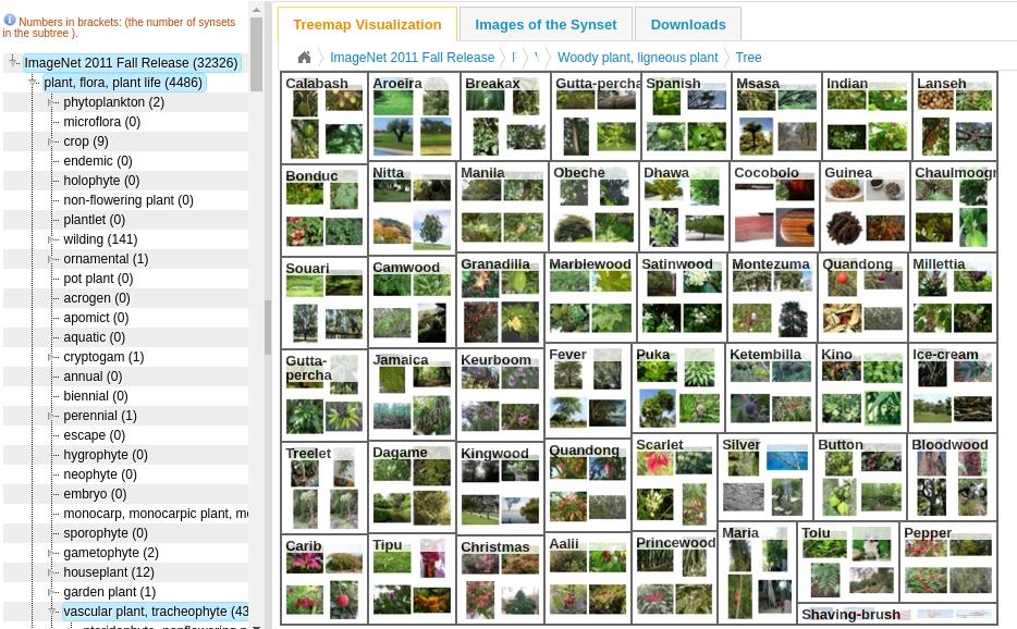22000 categories, 14 million images ImageNet Challenge: 1.