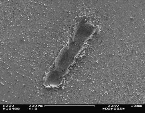 SEM images of static (left image) and scanning (right