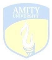 Amity School of Engg.