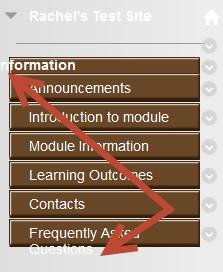 This link does not need to be shown to students Announcements this is the default entry point Module Guide break down of this information Contacts include all tutors, SAT contact, Academic Librarian