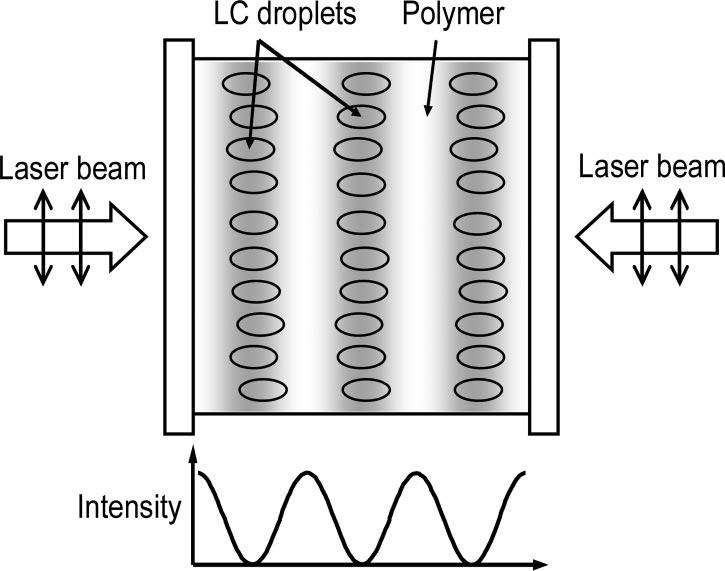 choice of prepolymer. The result is a periodic array of planes alternately rich in LC droplets and polymer, as shown in Fig. 2.