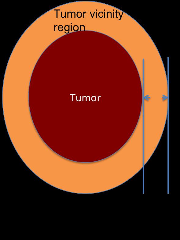 Figure 5: Definition of tumour vicinity region. Note that the parameters of the margin around the abnormality are extracted excluding the influence of the abnormality itself.