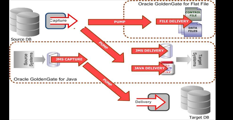Oracle GoldenGate Capture The Capture module grabs committed transactions resulting from insert, update, and delete operations executed against a database, and routes them for distribution.