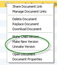 The user now has the opportunity to create a new version of the document by clicking on the make new version button, or replace the original document with the changes that you just made by clicking