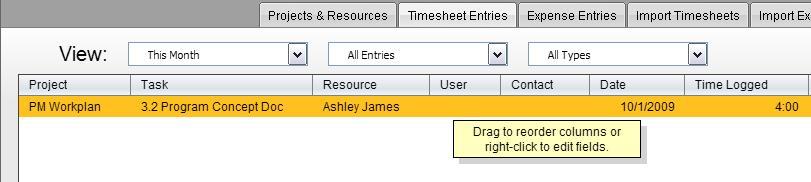 Account - Here the Project Manager can review if the timesheet has been linked to an Account. Opportunity Here the Project Manager can review if the timesheet has been linked to an Opportunity.