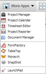 Project Reports The Project Reports is a comprehensive reporting module that enables users to create reports focusing on all aspects of their project data including: Portfolio Dashboards, Project