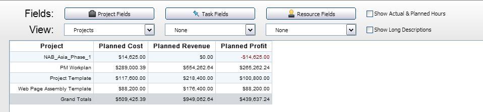 Cost & Revenue Report The third reporting option on the Project Reporter application is the Cost & Revenue Report.
