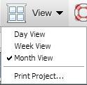 View The View menu is where resources can change the view of the Gantt chart to be displayed in a Day, Week or Month view as well as select from one of four options to bring their project data out