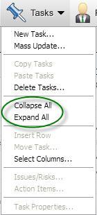 Collapsing Summary Tasks allows you to display the Summary Task and not the sub tasks.