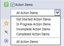 Action Items Action Items displays any Action Items the user created and added to projects and tasks. Action Items are displayed in green on the Calendar.