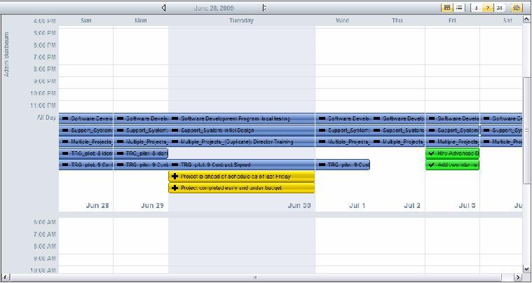 to dos, and events. Users can select the Month View by clicking on the 31 icon on the top right of the screen.