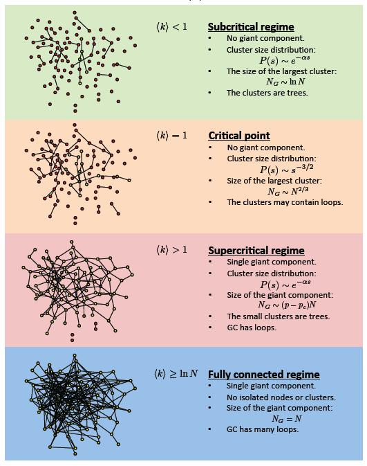 Random graph models Phase transition in random graphs Random graphs often exhibit phase transition phenomena as many physical systems,