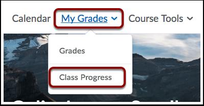 How Do Students Find Scores on Graded Assignments? Class Progress 1.