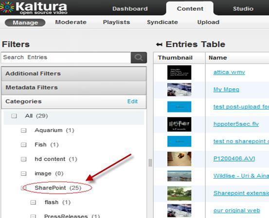 Initial Cnfiguratin When yu create a schema with metadata in the KMC, the fields are displayed as additinal metadata fr the media items.