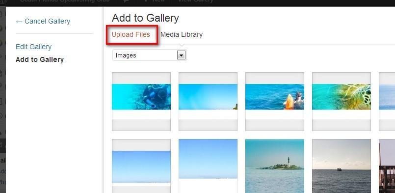 6. From here, you can pick images you ve already uploaded previously or mostly likely what you need to do is click the Upload Files link to upload new pictures from your computer.