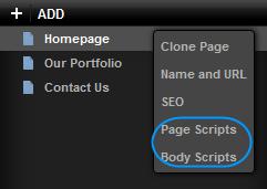 Depending upon where you want to enter your code, select Page Scripts or Body Scripts from the drop down menu.