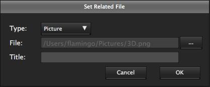 The [Set Related File] dialog opens. 2. Select the setting field to specify settings. Setting field [Type] [File] Description Class of file. Select from Picture, Audio, and Others. Files to be linked.