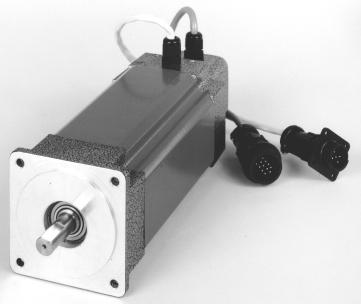 Servo Motor Drive Components and Packages LTS - Low Torque Series Servo Motors The LTS series of light industrial servo motors are permanent magnet brushless servo motors engineered for high