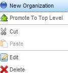 Once you have created your organization hierarchy, you now have more options when you click on an organization unit: New Organization: adds an organization directly under the current choice.
