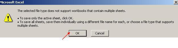 Once you click Save, the following message will appear if your Excel file contains multiple worksheets (tabs at the