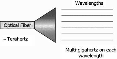 1.1 Wavelength-division multiplexing 3 Fig. 1.2. A fiber divided among multiple wavelengths. approximately 50 THz (terahertz).